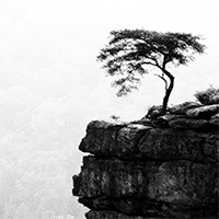 woman-alone-arab-struggle