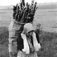 femme-agriculteur