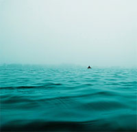 leaving-everything-behind-poem