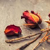 signes-changement-amour
